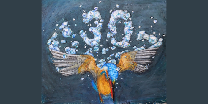 Zeichnung Eisvogel, der ins Wasser taucht. Die Luftblasen ergeben eine 