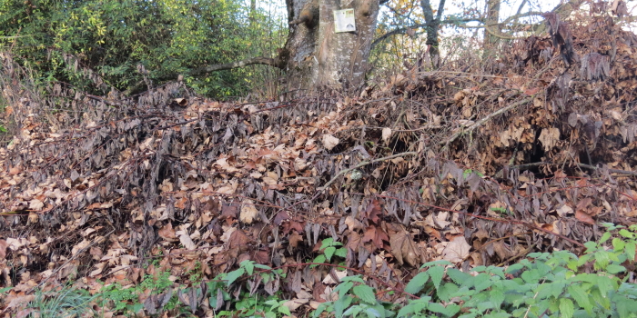 Laub- und Asthaufen im Garten